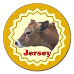 Jersey cow Magnet 5  (Round)