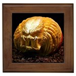 20 Framed Tile