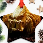 20 Ornament (Star)