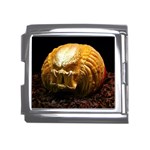 20 Mega Link Italian Charm (18mm)