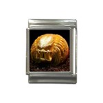 20 Italian Charm (13mm)