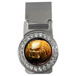 20 Money Clip (CZ)