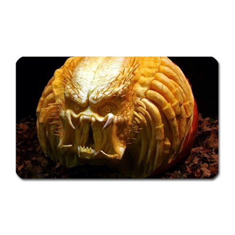 20 Magnet (Rectangular) from ArtsNow.com Front