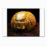 20 Postcard 4 x 6  (Pkg of 10)