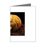 20 Mini Greeting Card