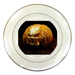 20 Porcelain Plate