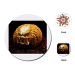 20 Playing Cards (Round)