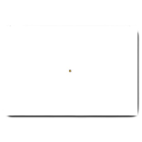 3 30 x20  Door Mat