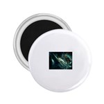 3-1302290-0-2-1 2.25  Magnet