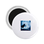 3-3830994-0-2-1 2.25  Magnet