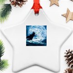 3-3830994-0-2-1 Ornament (Star)