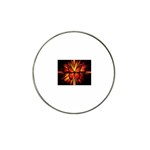 3-1093440-0-2-1 Hat Clip Ball Marker