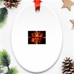 3-1093440-0-2-1 Oval Ornament (Two Sides)