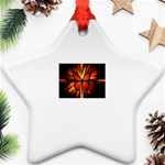 3-1093440-0-2-1 Star Ornament (Two Sides)