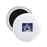 3-1091059-0-2-1 2.25  Magnet