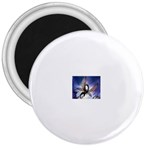 3-1091059-0-2-1 3  Magnet