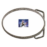3-1091059-0-2-1 Belt Buckle