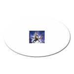 3-1091059-0-2-1 Magnet (Oval)