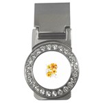 3-1012265-0-2-1 Money Clip (CZ)
