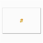 3-1012265-0-2-1 Postcards 5  x 7  (Pkg of 10)