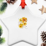 3-1012265-0-2-1 Star Ornament (Two Sides)