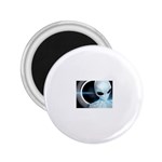 3-1113621-0-2-1 2.25  Magnet