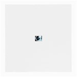 3-1113621-0-2-1 Glasses Cloth (Medium, Two Sides)