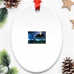 3-1113625-0-2-1 Oval Ornament (Two Sides)