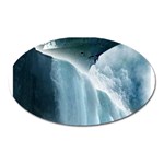 32 Magnet (Oval)