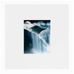 32 Glasses Cloth (Medium, Two Sides)