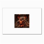 3 Postcards 5  x 7  (Pkg of 10)