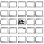 tiger16457 9mm Italian Charm (25 pack)