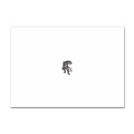 tiger16457 Sticker A4 (10 pack)