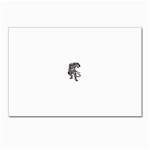tiger16457 Postcards 5  x 7  (Pkg of 10)