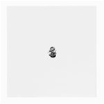 snake15873 Glasses Cloth (Medium)