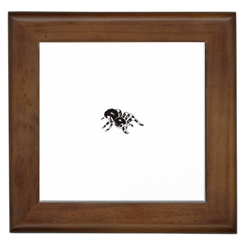 spider1410 Framed Tile from ArtsNow.com Front