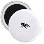 spider1410 3  Magnet