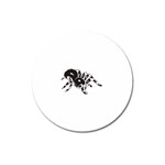 spider1410 Magnet 3  (Round)