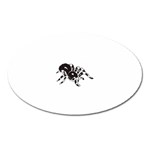 spider1410 Magnet (Oval)