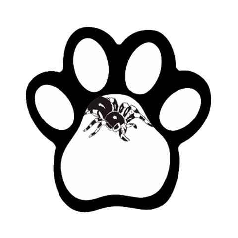 spider1410 Magnet (Paw Print) from ArtsNow.com Front