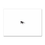 spider1410 Sticker A4 (10 pack)