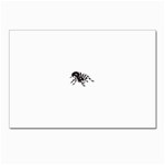spider1410 Postcard 4 x 6  (Pkg of 10)