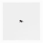 spider1410 Glasses Cloth (Medium, Two Sides)