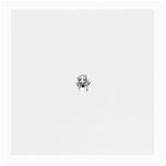 spider21987 Glasses Cloth (Medium)