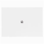spider21987 Glasses Cloth (Large, Two Sides)