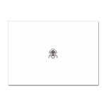 spider22034 Sticker A4 (10 pack)