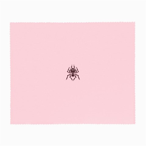 spider22034 Glasses Cloth (Small) from ArtsNow.com Front