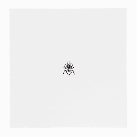 spider22034 Glasses Cloth (Medium, Two Sides) from ArtsNow.com Front