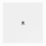 spider22034 Glasses Cloth (Medium, Two Sides)