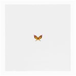 tgoldenbutterfly Glasses Cloth (Medium, Two Sides)